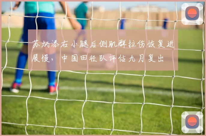 苏炳添右小腿后侧肌群拉伤恢复进展慢，中国田径队评估九月复出
